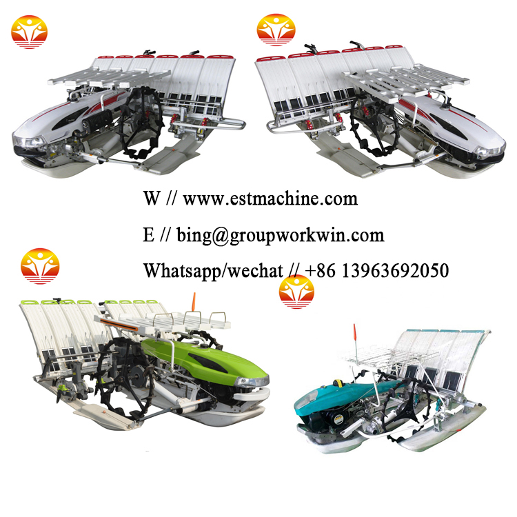 1562051416496842.jpg 1.jpg