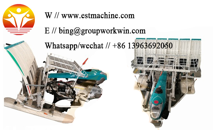 1562051546884959.jpg 未标题-1.jpg